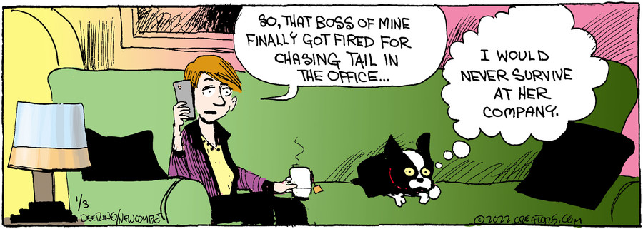 Zack Hill for Jan 03, 2022