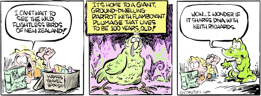 Shrimp and Grits for Jan 18, 2024