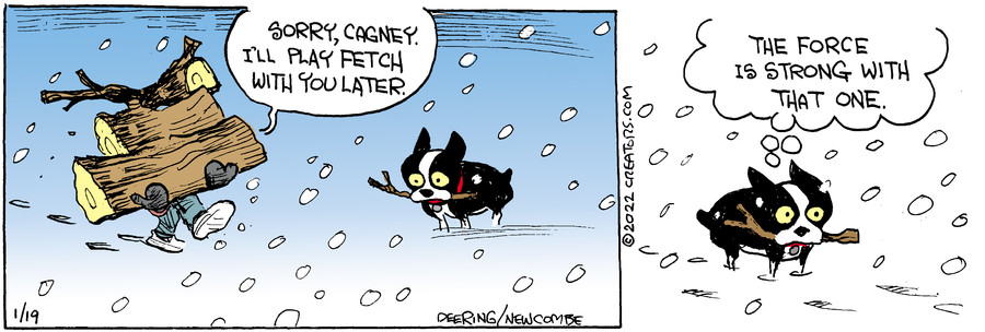 Zack Hill for Jan 19, 2022