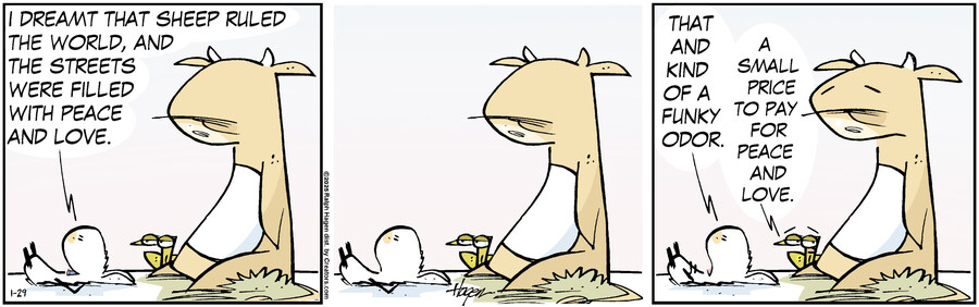 The Barn for Jan 29, 2025