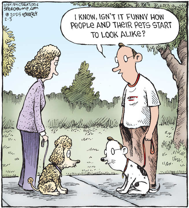 Speed Bump for Feb 03, 2025