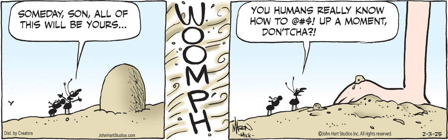 B.C. for Feb 03, 2025