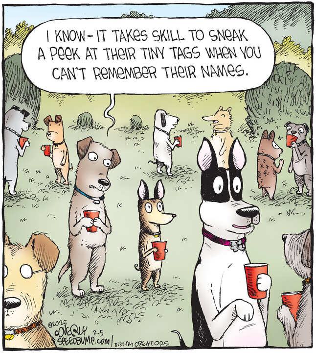 Speed Bump for Feb 05, 2025