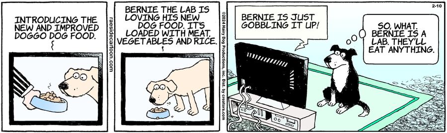 The Other Coast for Feb 10, 2024