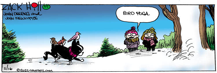 Zack Hill for Feb 16, 2025