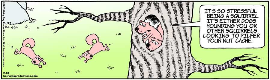 The Other Coast for Feb 18, 2025