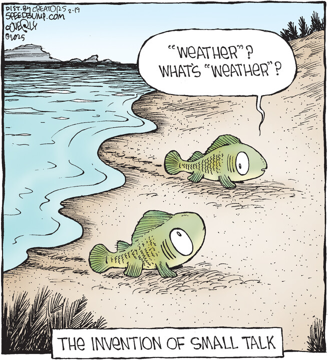 Speed Bump for Feb 19, 2025