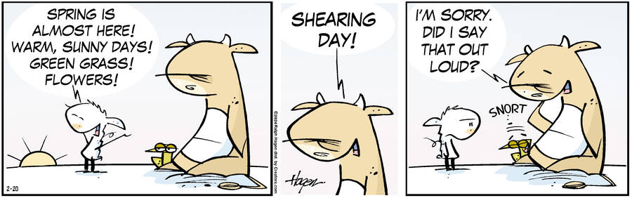 The Barn for Feb 20, 2024