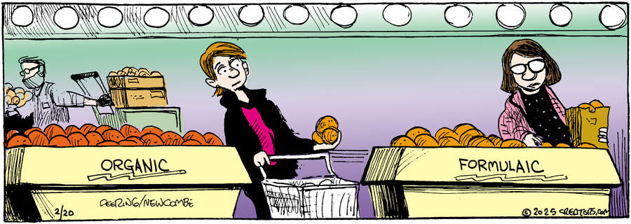 Zack Hill for Feb 20, 2025