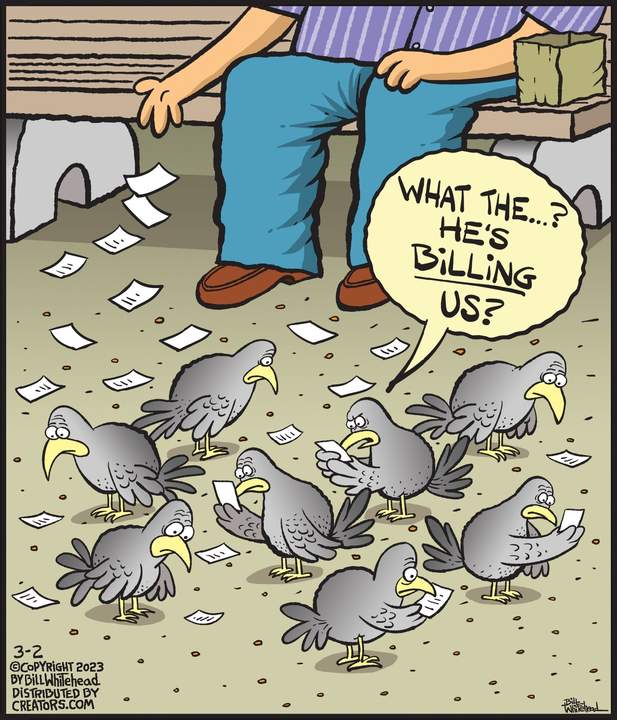 Free Range for Mar 02, 2023