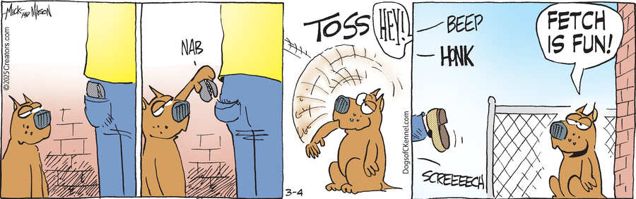 Dogs of C-Kennel for Mar 04, 2025