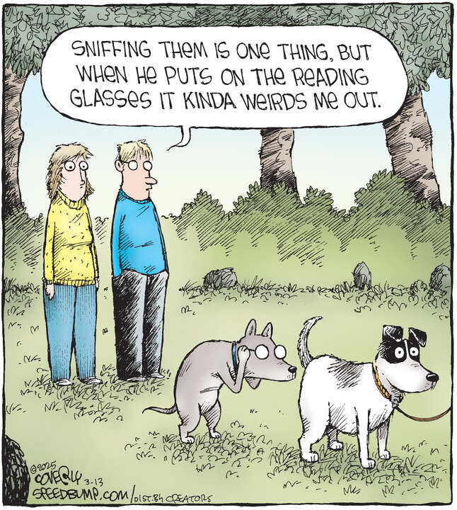 Speed Bump for Mar 13, 2025