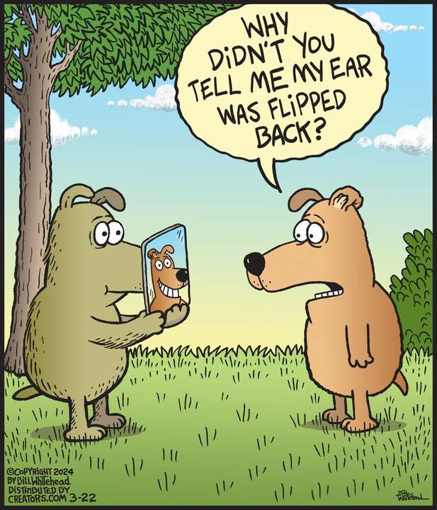 Free Range for Mar 22, 2024