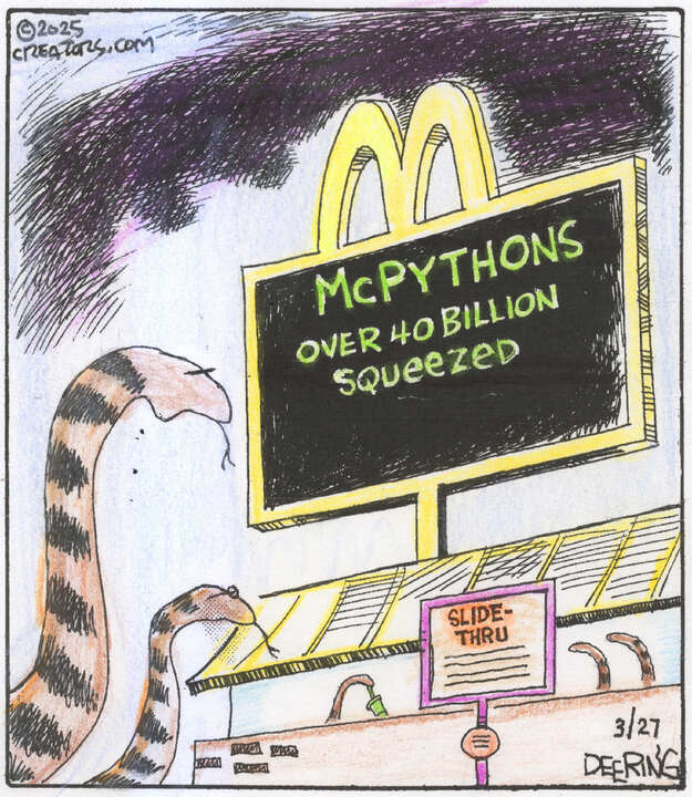 Strange Brew for Mar 27, 2025