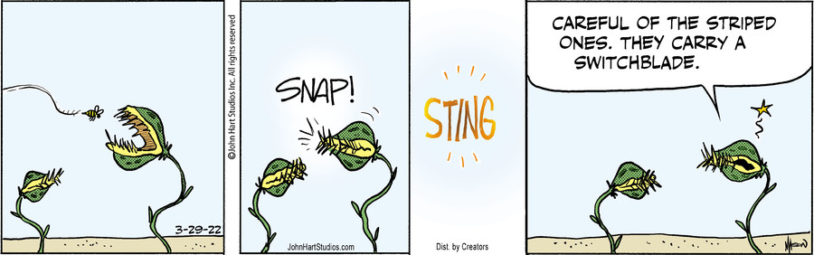 B.C. for Mar 29, 2022