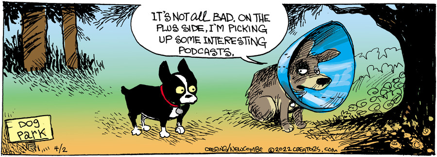 Zack Hill for Apr 02, 2022