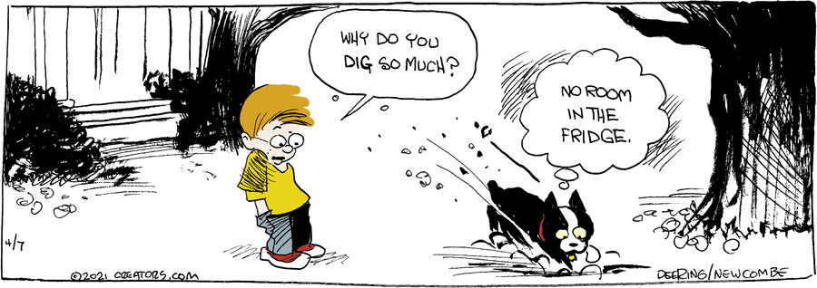 Zack Hill for Apr 07, 2021