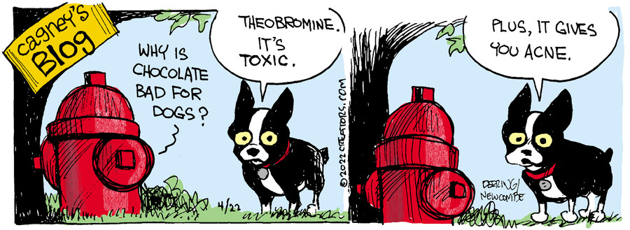 Zack Hill for Apr 22, 2022