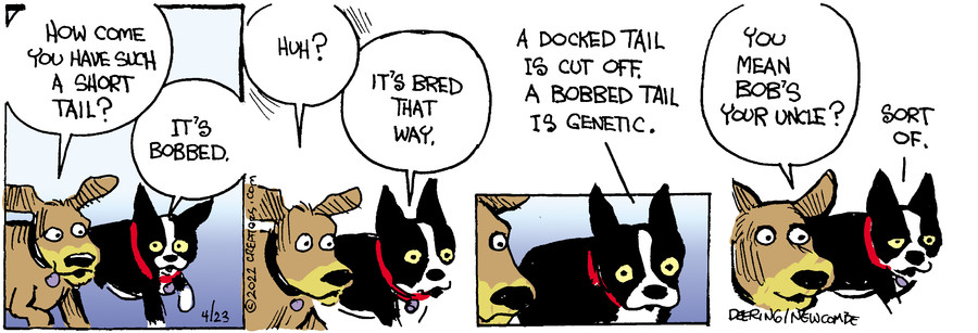 Zack Hill for Apr 23, 2022