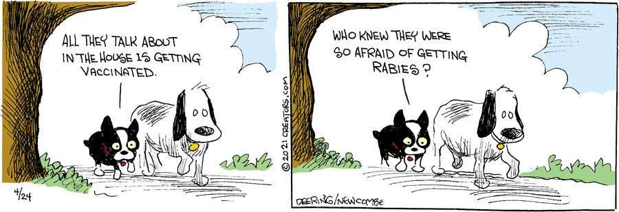 Zack Hill for Apr 24, 2021