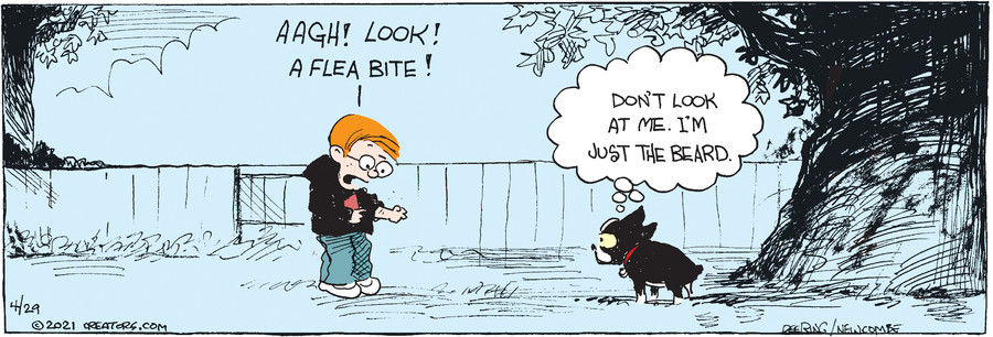 Zack Hill for Apr 29, 2021