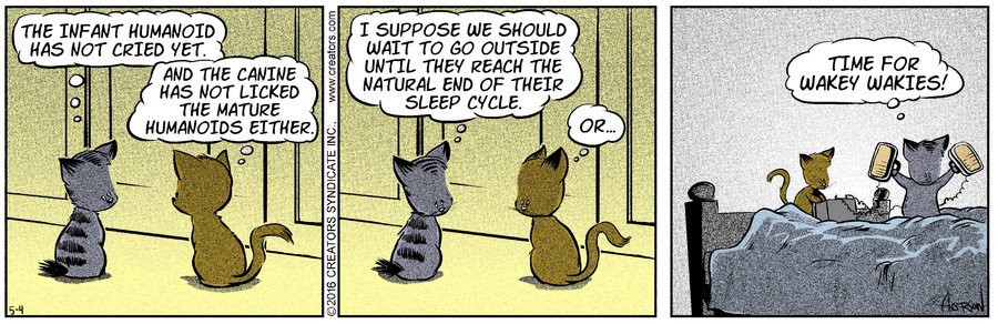 Dog Eat Doug for May 04, 2021