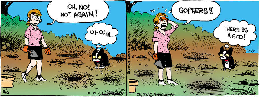 Zack Hill for May 06, 2024