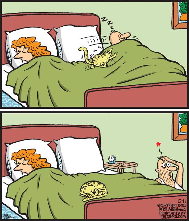 Free Range for May 11, 2023