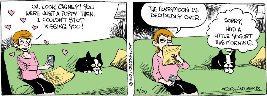 Zack Hill for May 20, 2021