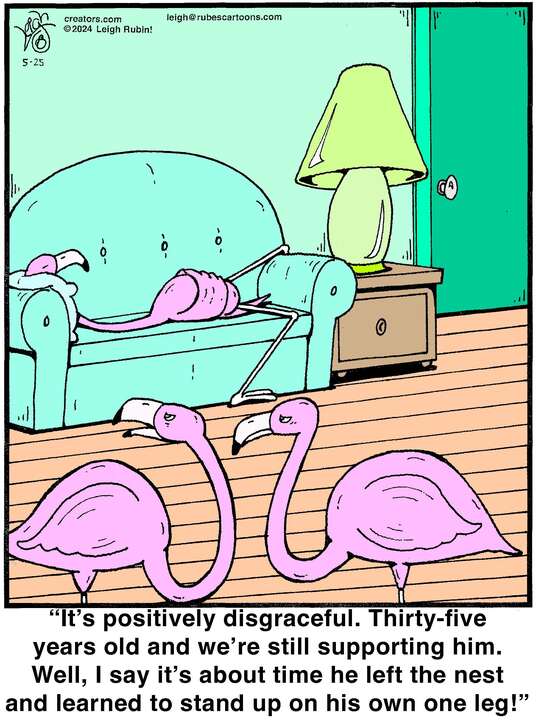 Rubes® for May 25, 2024