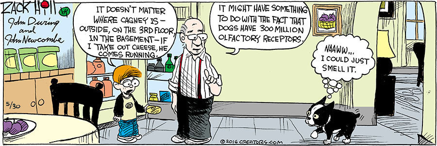 Zack Hill for May 30, 2021