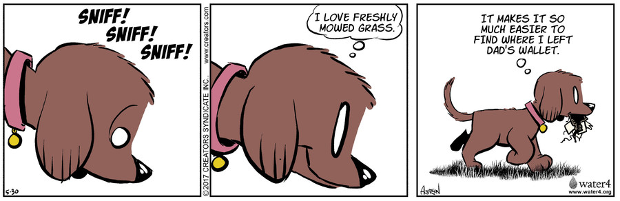 Dog Eat Doug for May 30, 2022