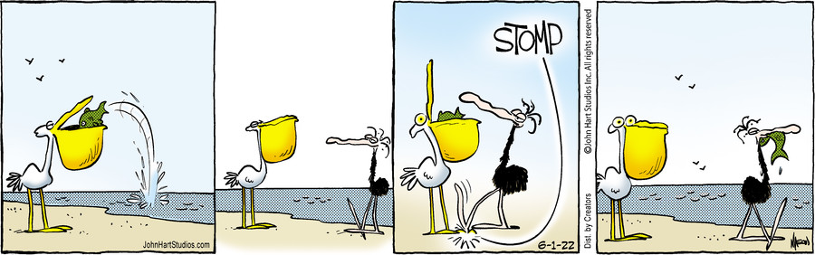 B.C. for Jun 01, 2022