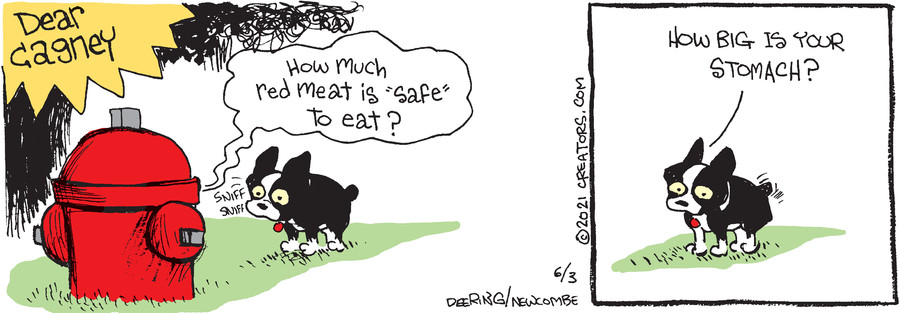 Zack Hill for Jun 03, 2021