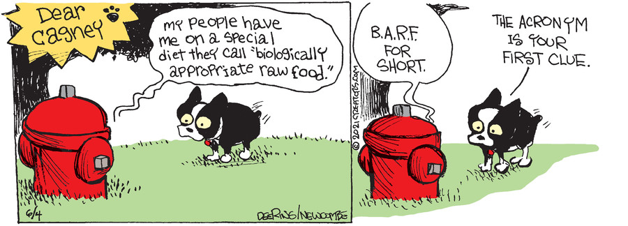 Zack Hill for Jun 04, 2021