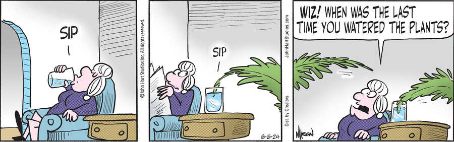 Wizard of Id for Jun 06, 2024