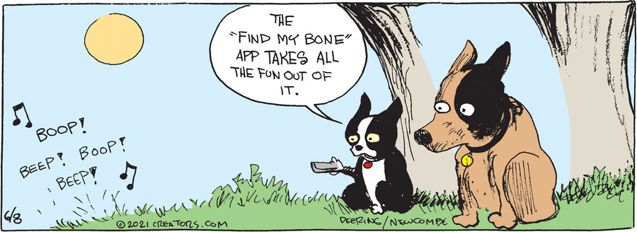 Zack Hill for Jun 08, 2021