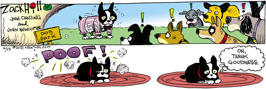 Zack Hill for Jun 13, 2021