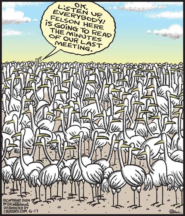 Free Range for Jun 17, 2024