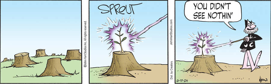 Wizard of Id for Jun 17, 2024