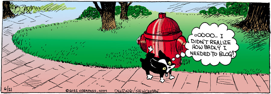 Zack Hill for Jun 21, 2022