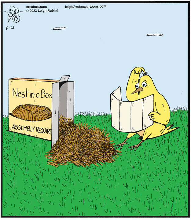 Rubes® for Jun 21, 2023