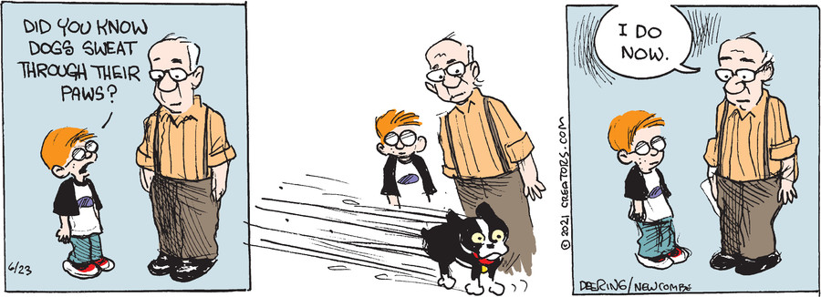 Zack Hill for Jun 23, 2021