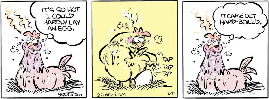 Shrimp and Grits for Jun 23, 2022