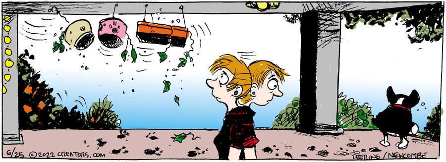 Zack Hill for Jun 25, 2022