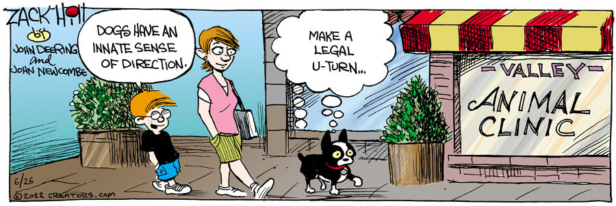 Zack Hill for Jun 26, 2022