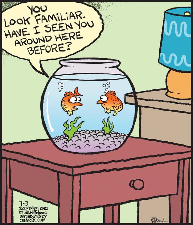 Free Range for Jul 03, 2023