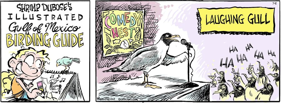 Shrimp and Grits for Jul 05, 2023