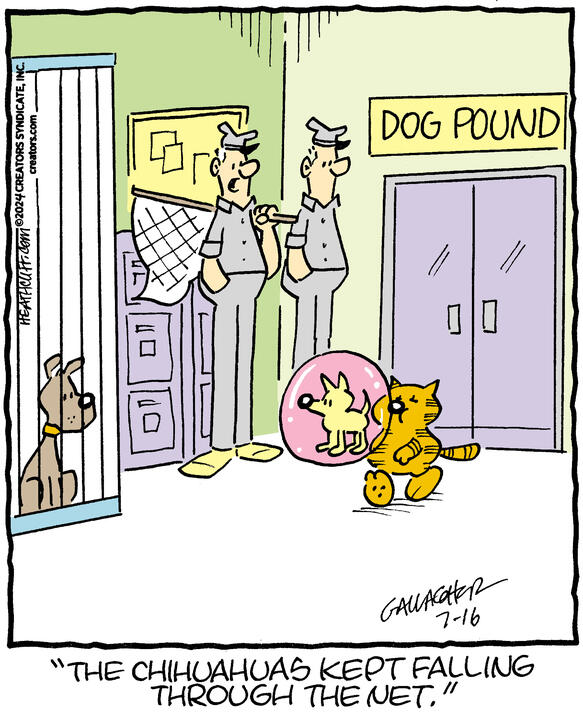 Heathcliff for Jul 16, 2024