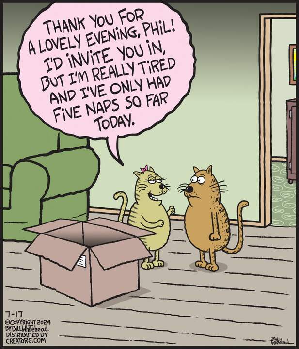 Free Range for Jul 17, 2024